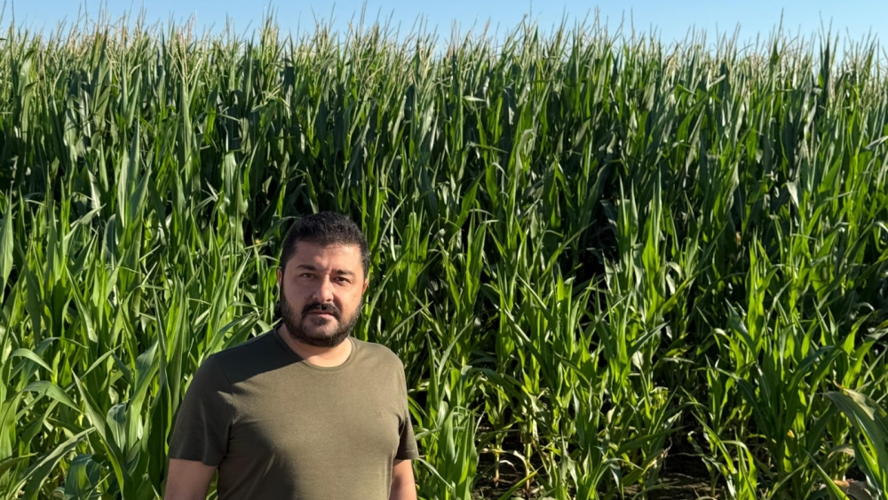 CHP’Lİ YAZGAN’DAN MISIR İTHALATI KARARINA SERT TEPKİ!: “ÇİFTÇİ ÖLSÜN MÜ İSTİYORSUNUZ?”